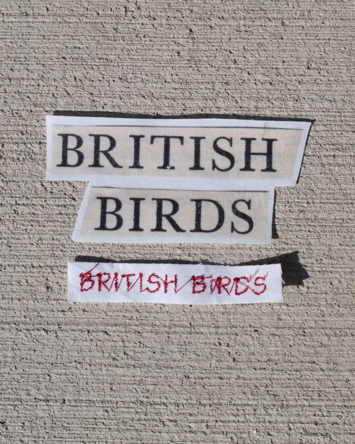 british birds baby tee - In Print We Trust