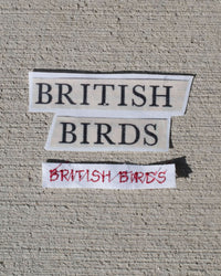 british birds baby tee - In Print We Trust