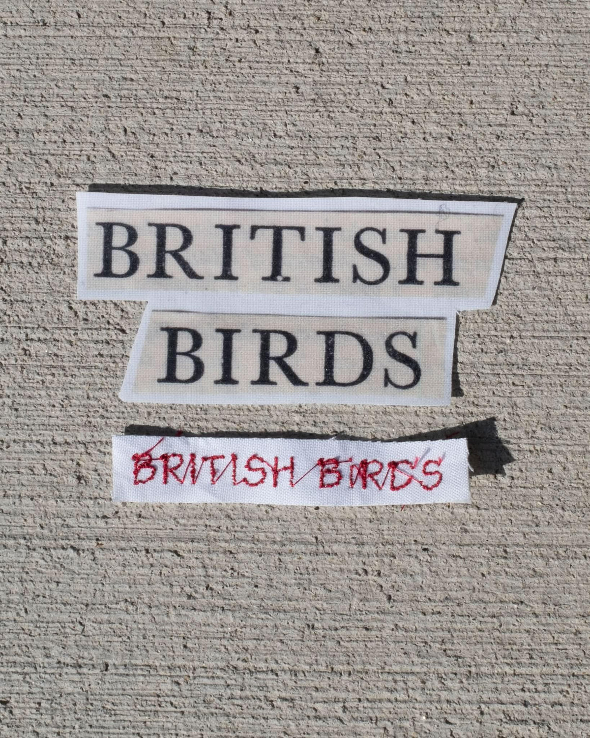 british birds baby tee - In Print We Trust
