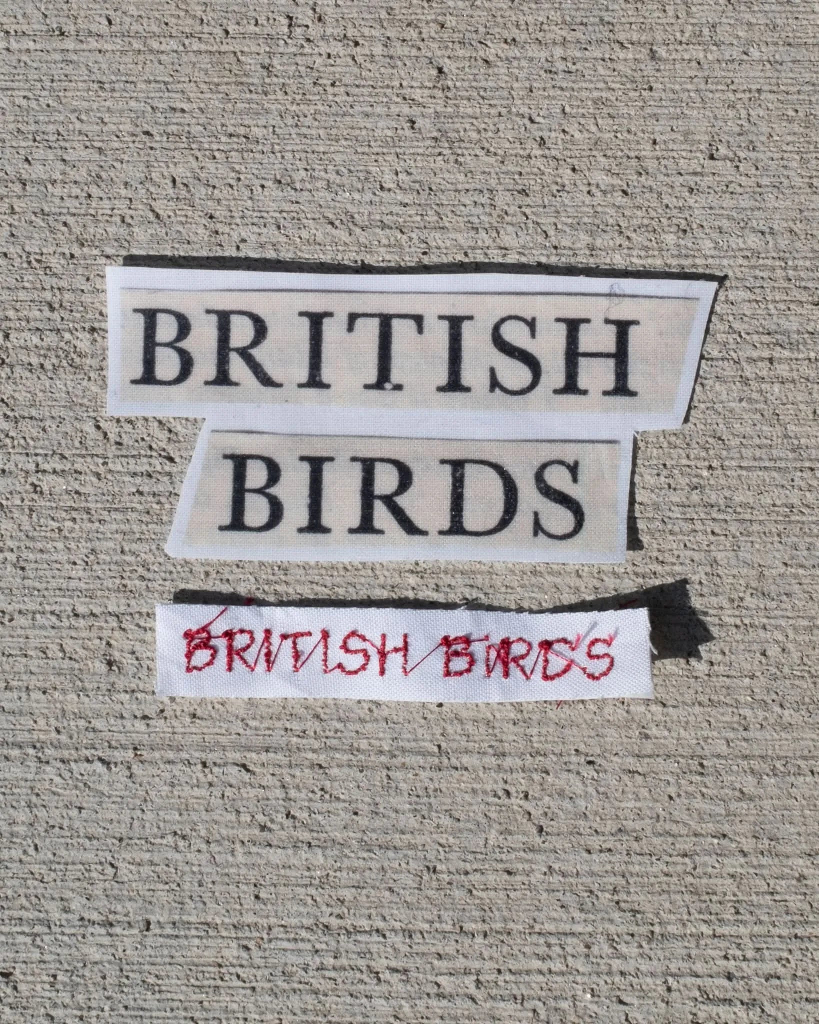 british birds baby tee - In Print We Trust