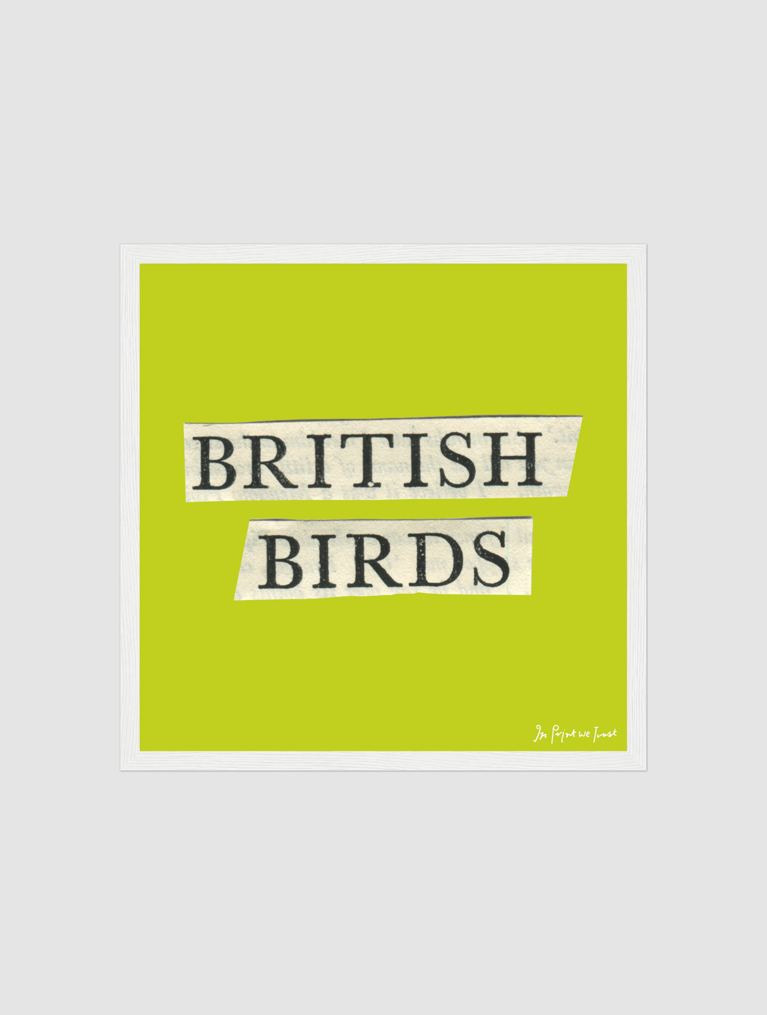 british birds framed art print - In Print We Trust