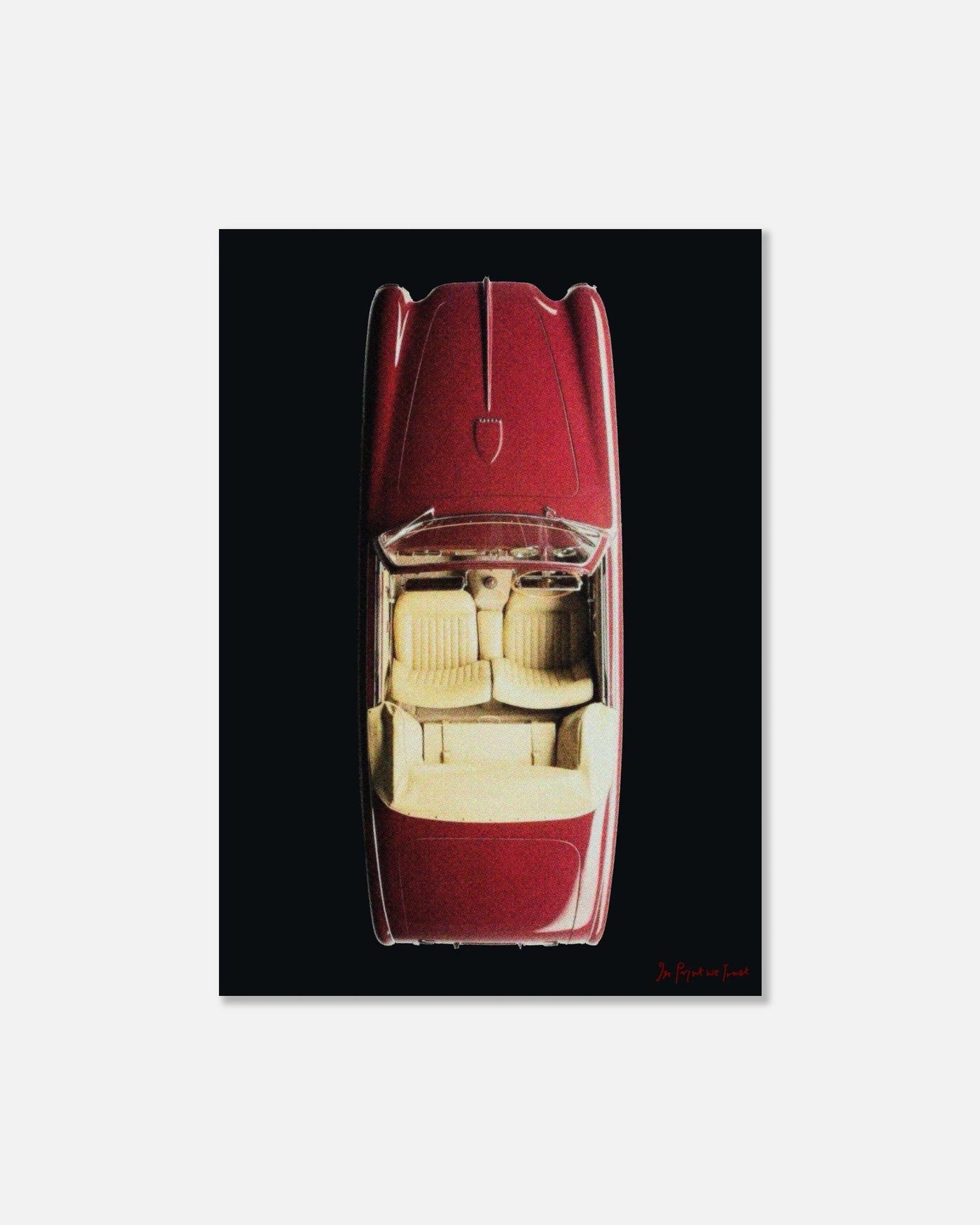 buckle up print - In Print We Trust