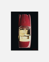 buckle up print - In Print We Trust