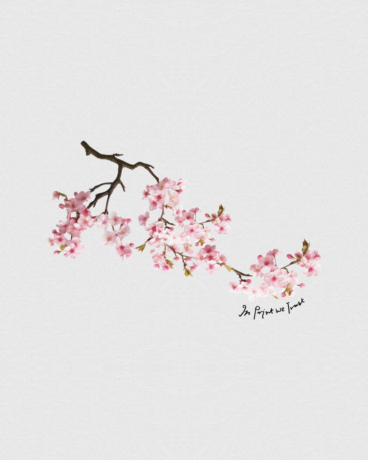 cherry blossom heavyweight tee - In Print We Trust