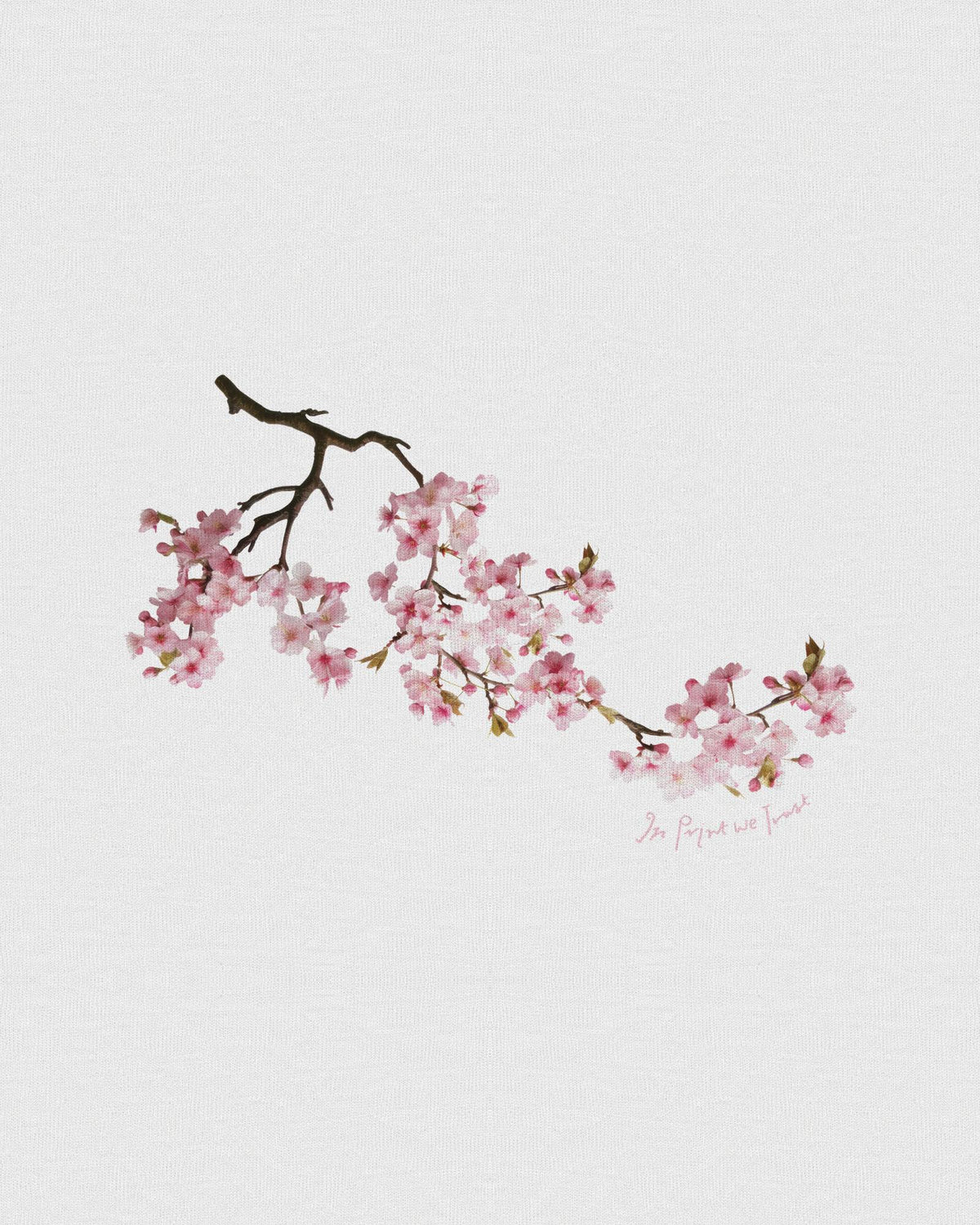 cherry blossom heavyweight tee