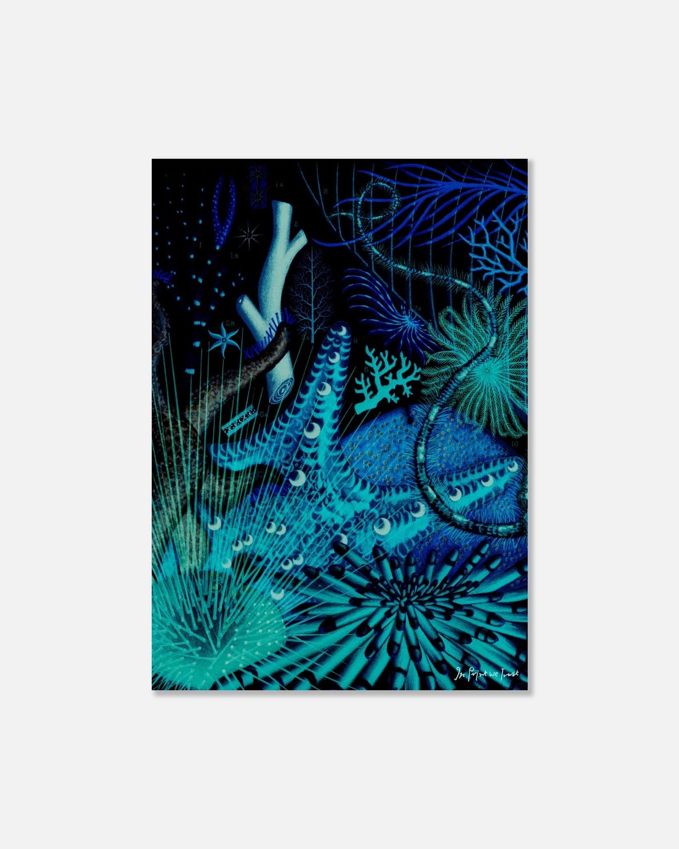 coral reef poster print - In Print We Trust
