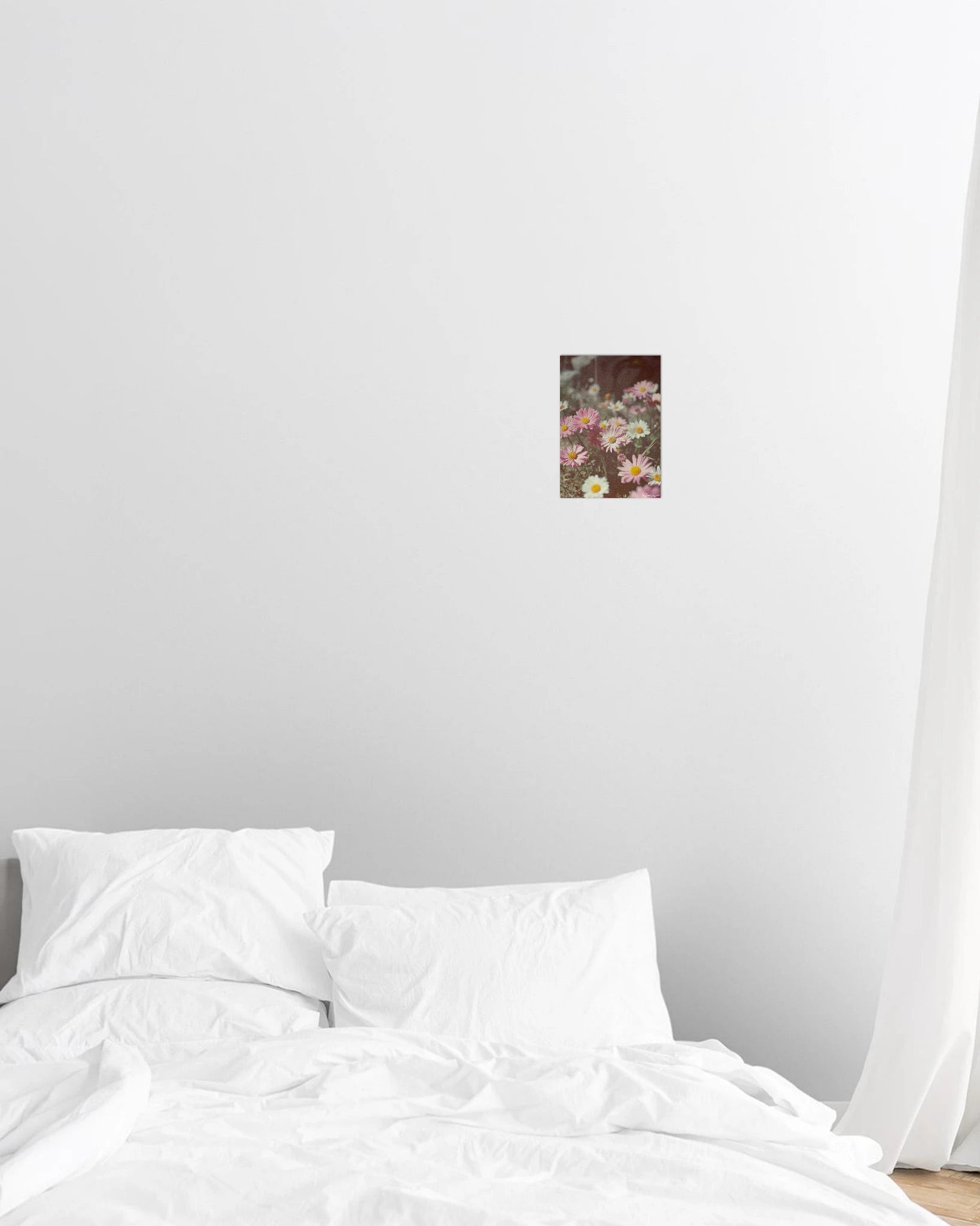 daisy print - In Print We Trust