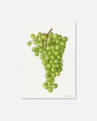 grapes print - In Print We Trust