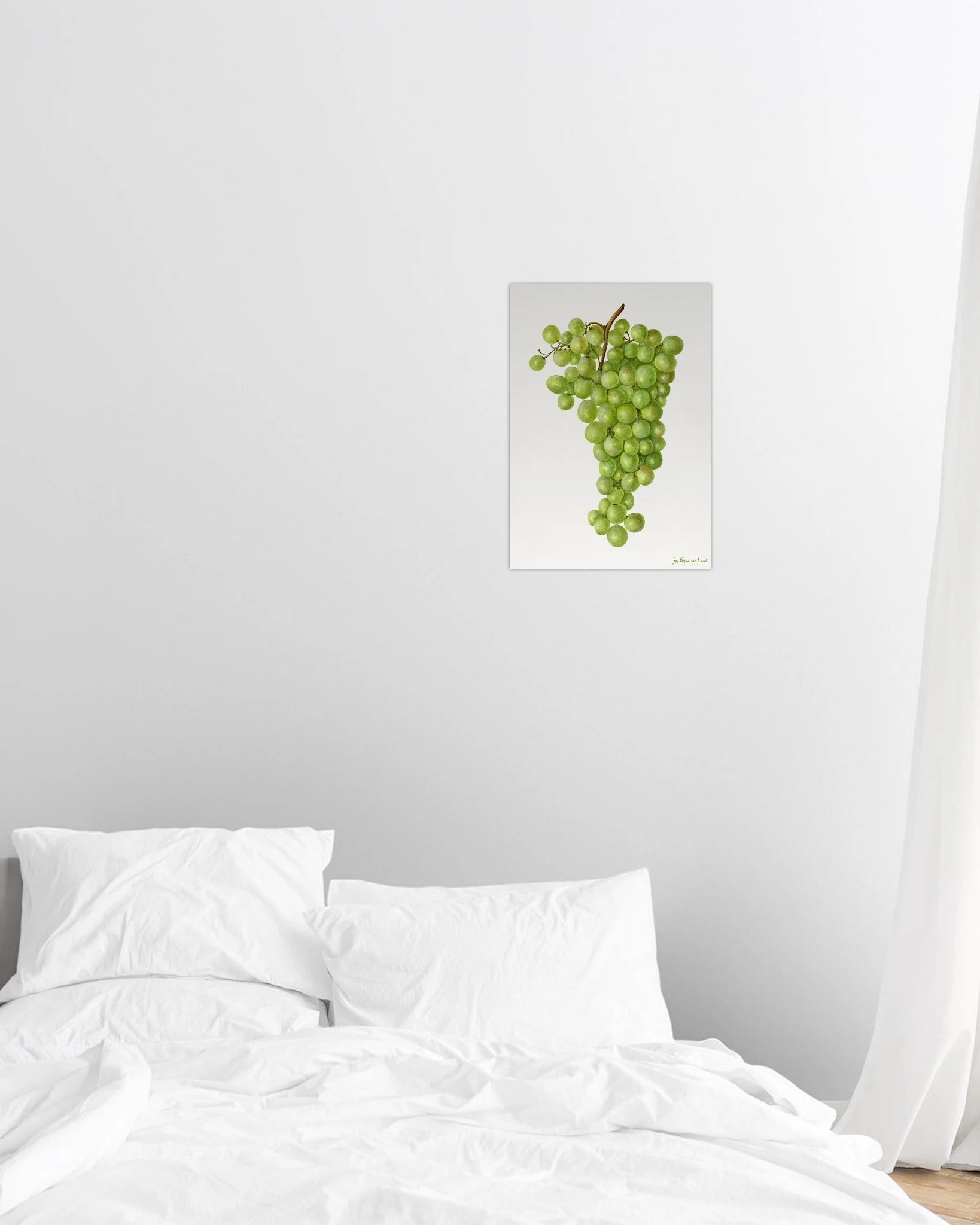 grapes print - In Print We Trust