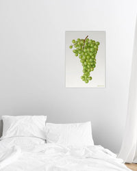 grapes print - In Print We Trust
