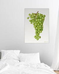 grapes print - In Print We Trust