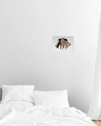 horses poster print - In Print We Trust