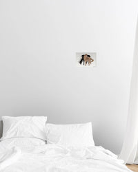 horses poster print - In Print We Trust