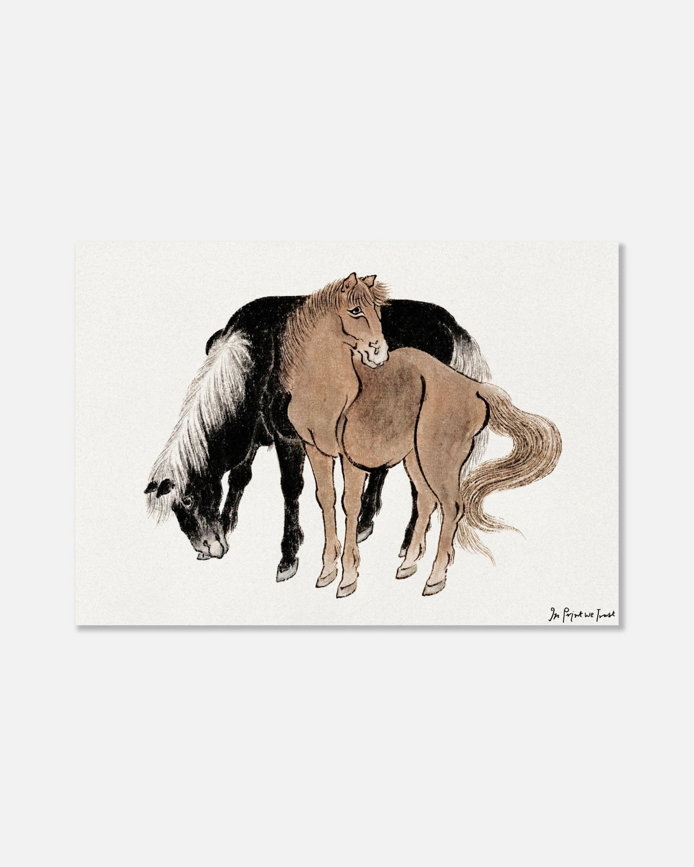 horses poster print - In Print We Trust