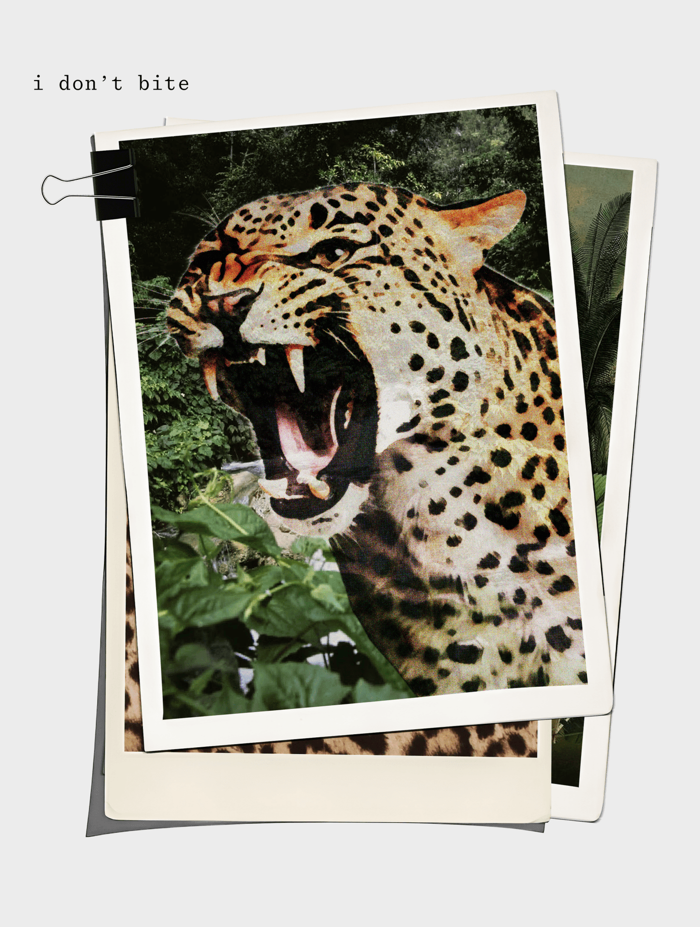 i don't bite baby tee - In Print We Trust