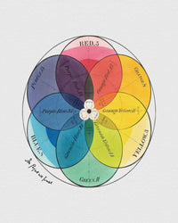 colour wheel baby tee - In Print We Trust