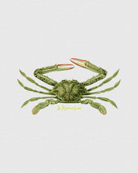 crabby baby tee - In Print We Trust