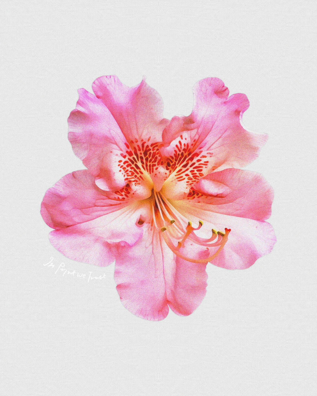 flower girl baby tee - In Print We Trust