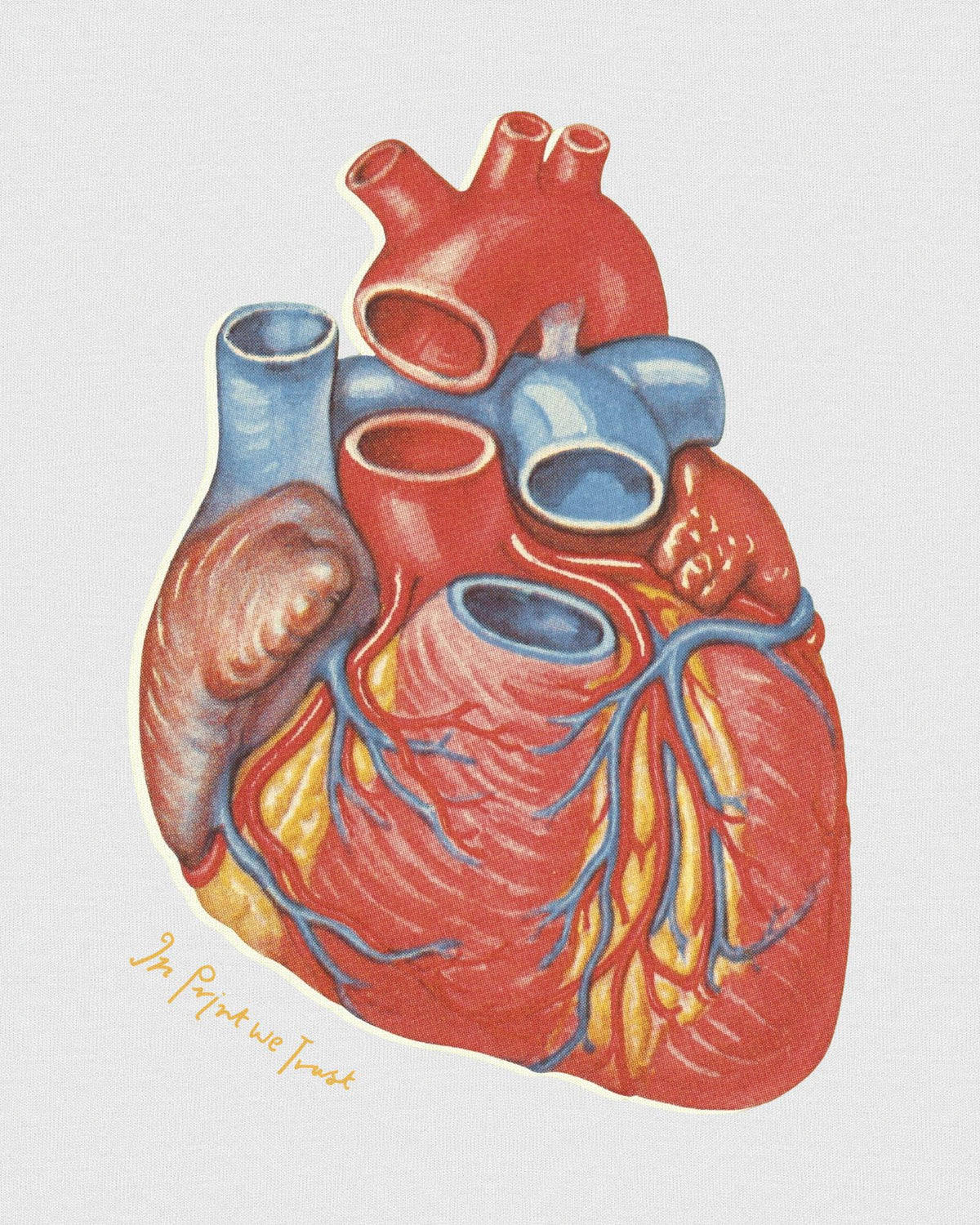 heart baby tee - In Print We Trust