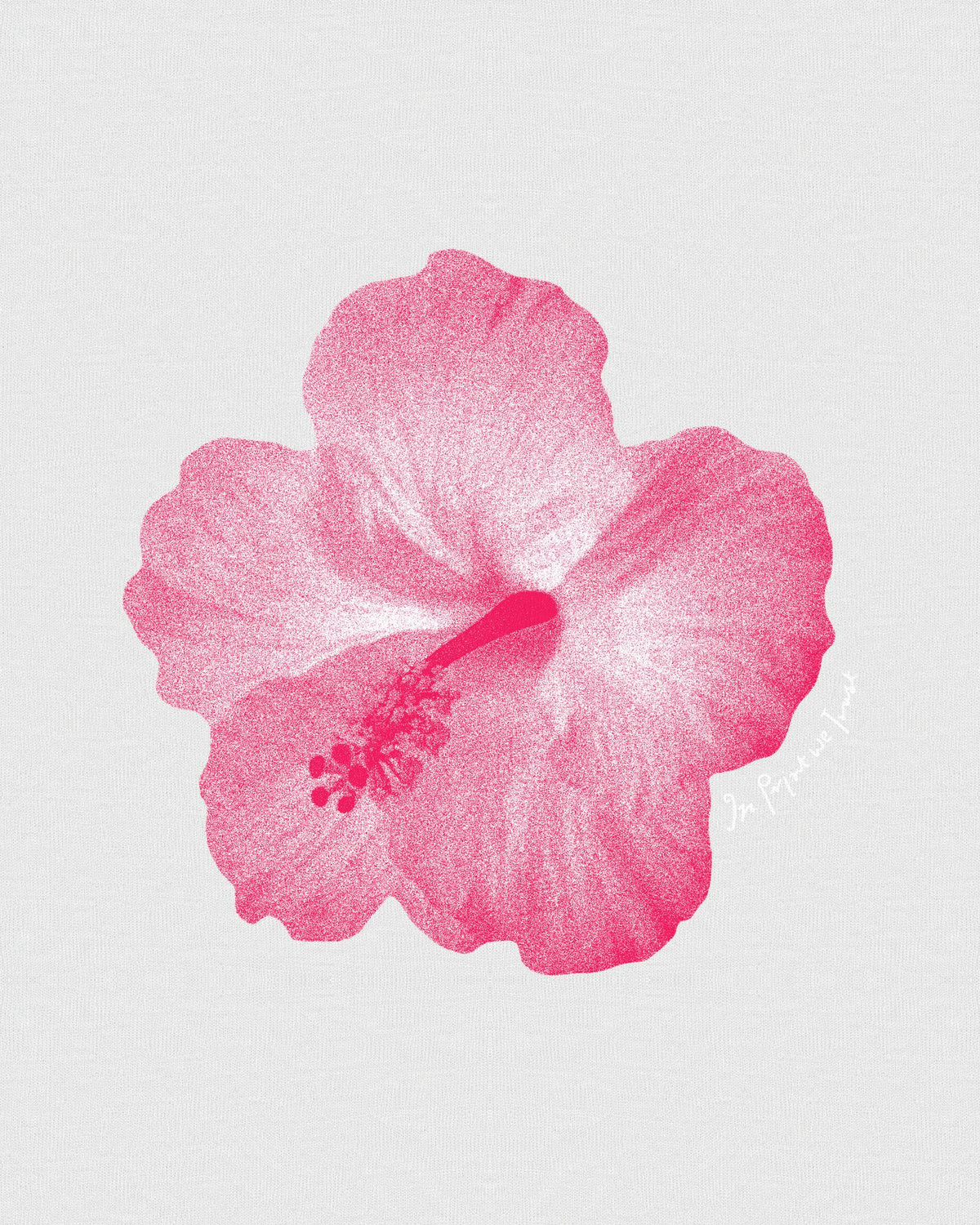 hibiscus baby tee - In Print We Trust