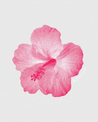 hibiscus baby tee - In Print We Trust