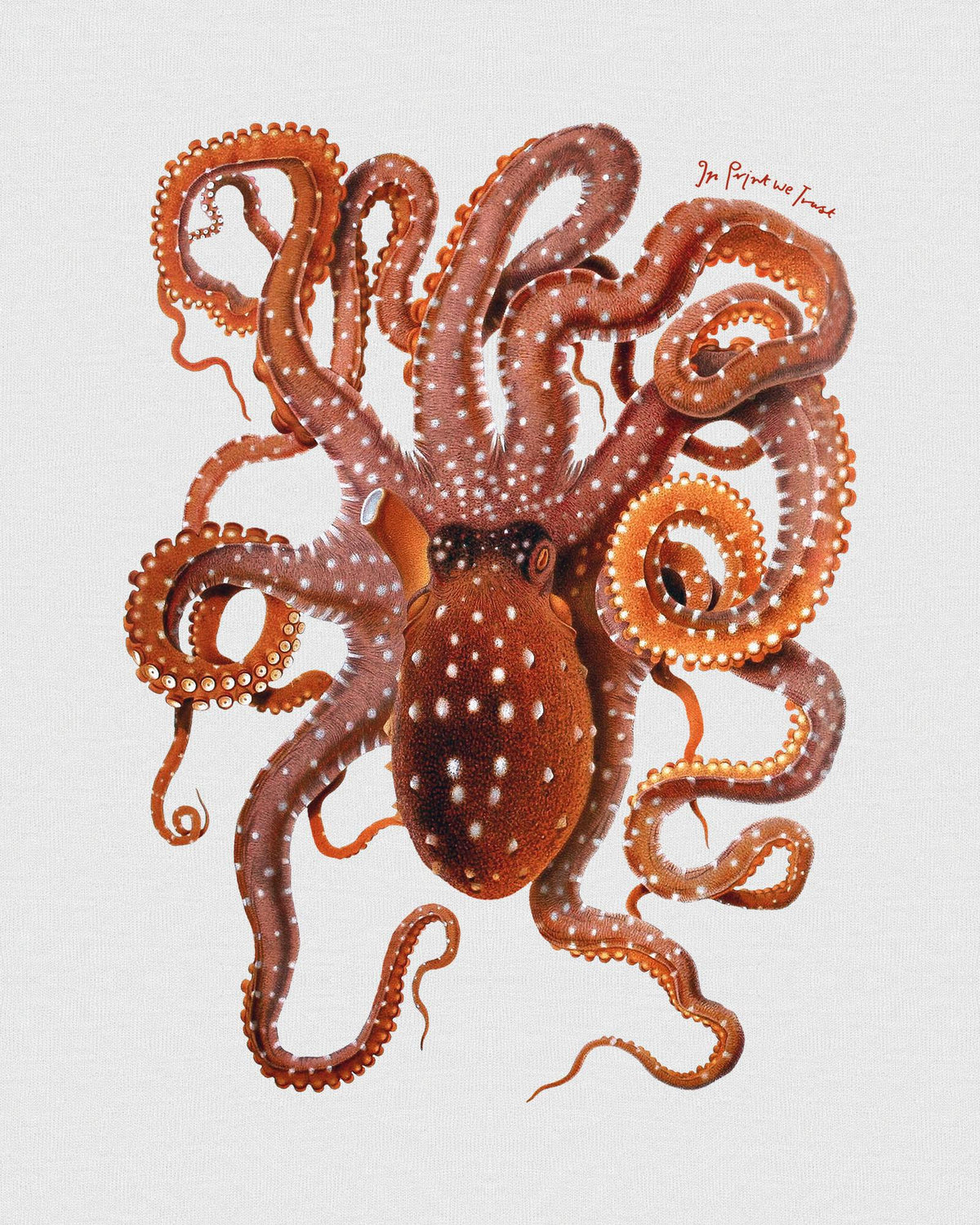 octopus baby tee - In Print We Trust