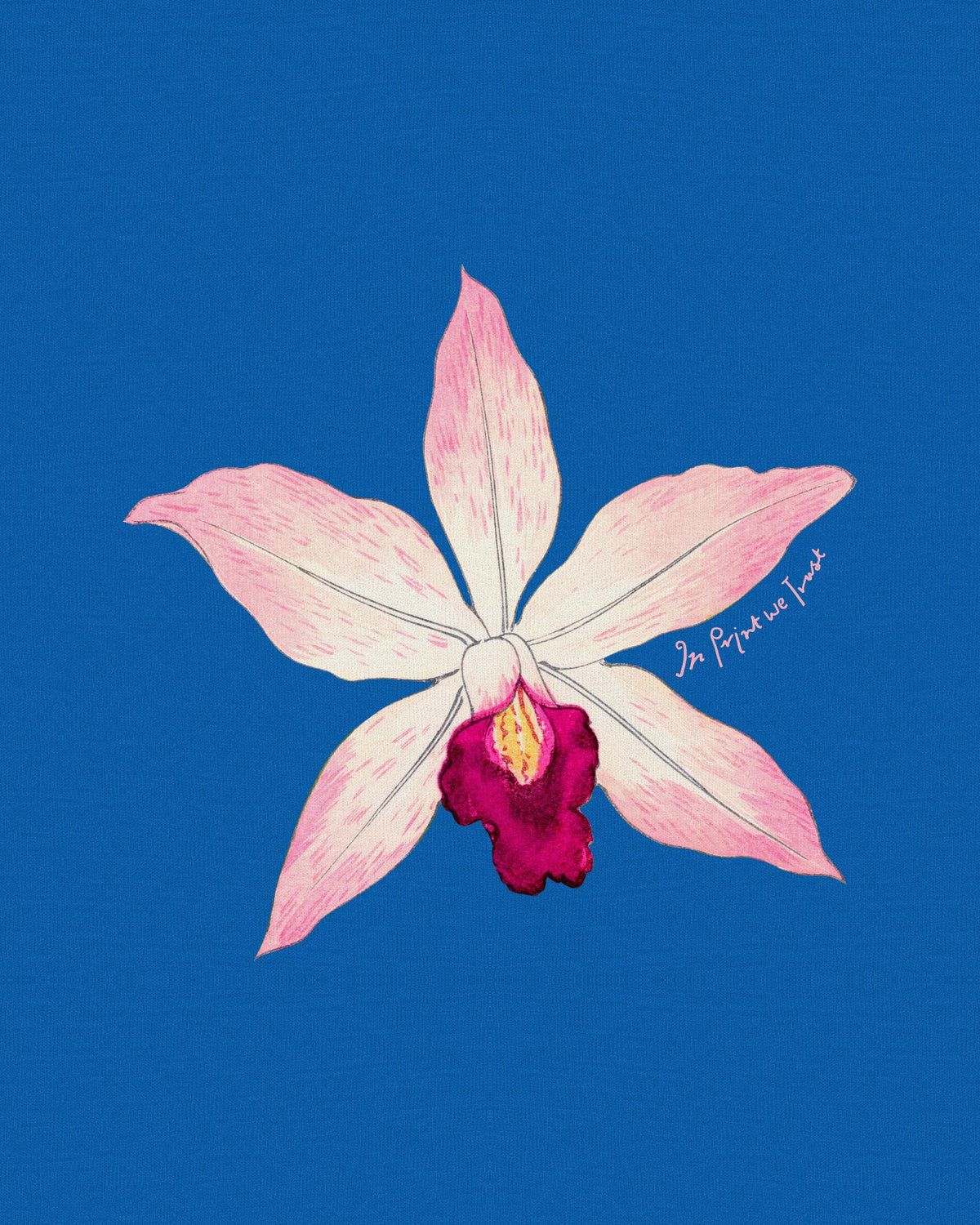 orchid baby tee - In Print We Trust