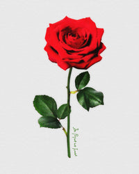 rose baby tee - In Print We Trust