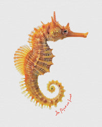 seahorse baby tee - In Print We Trust