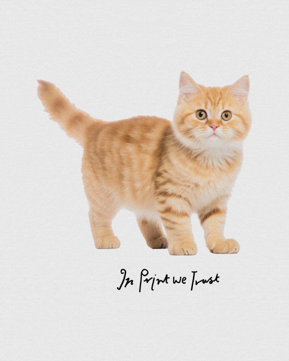 tabby baby tee - In Print We Trust
