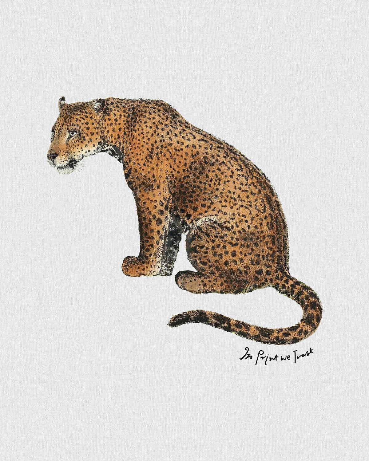 leopard baby tee - In Print We Trust