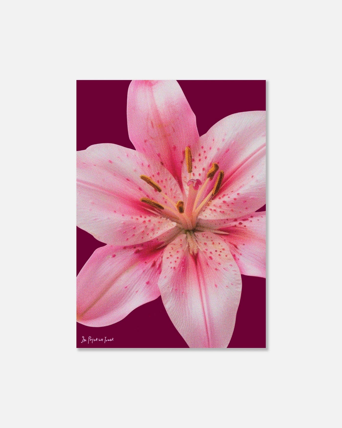 lily print - In Print We Trust