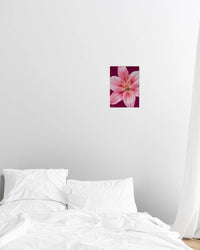 lily print - In Print We Trust