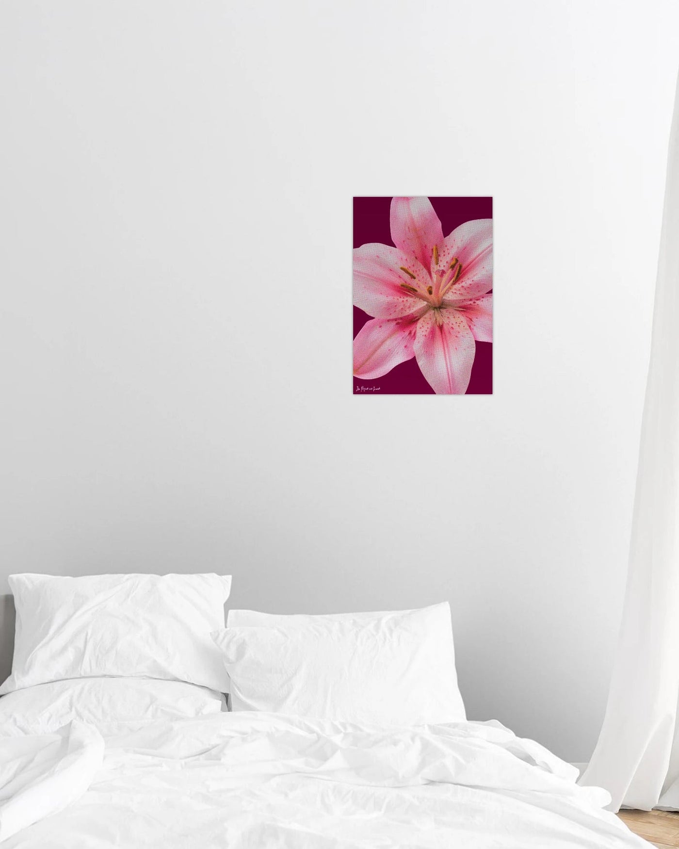 lily print - In Print We Trust