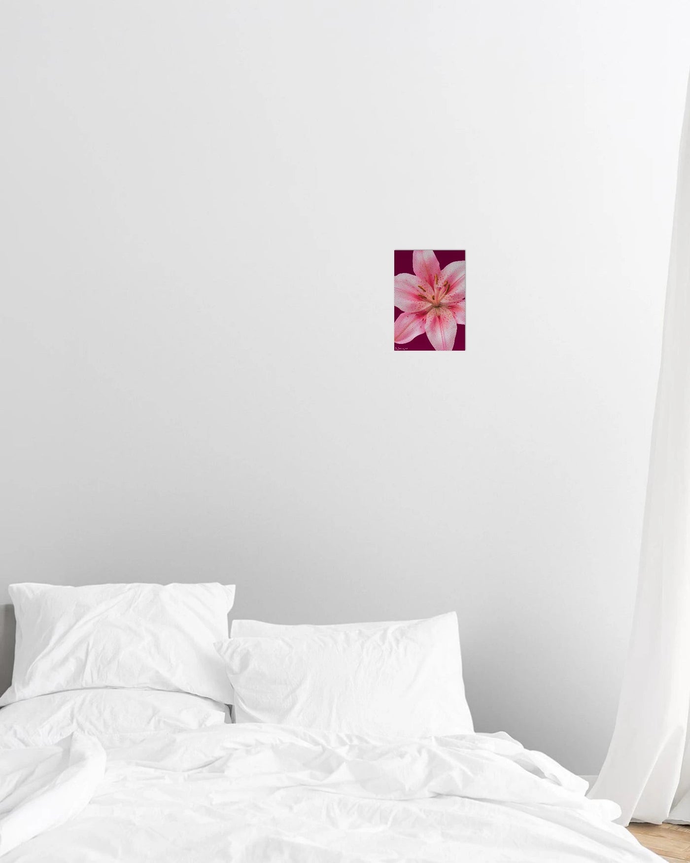 lily print - In Print We Trust