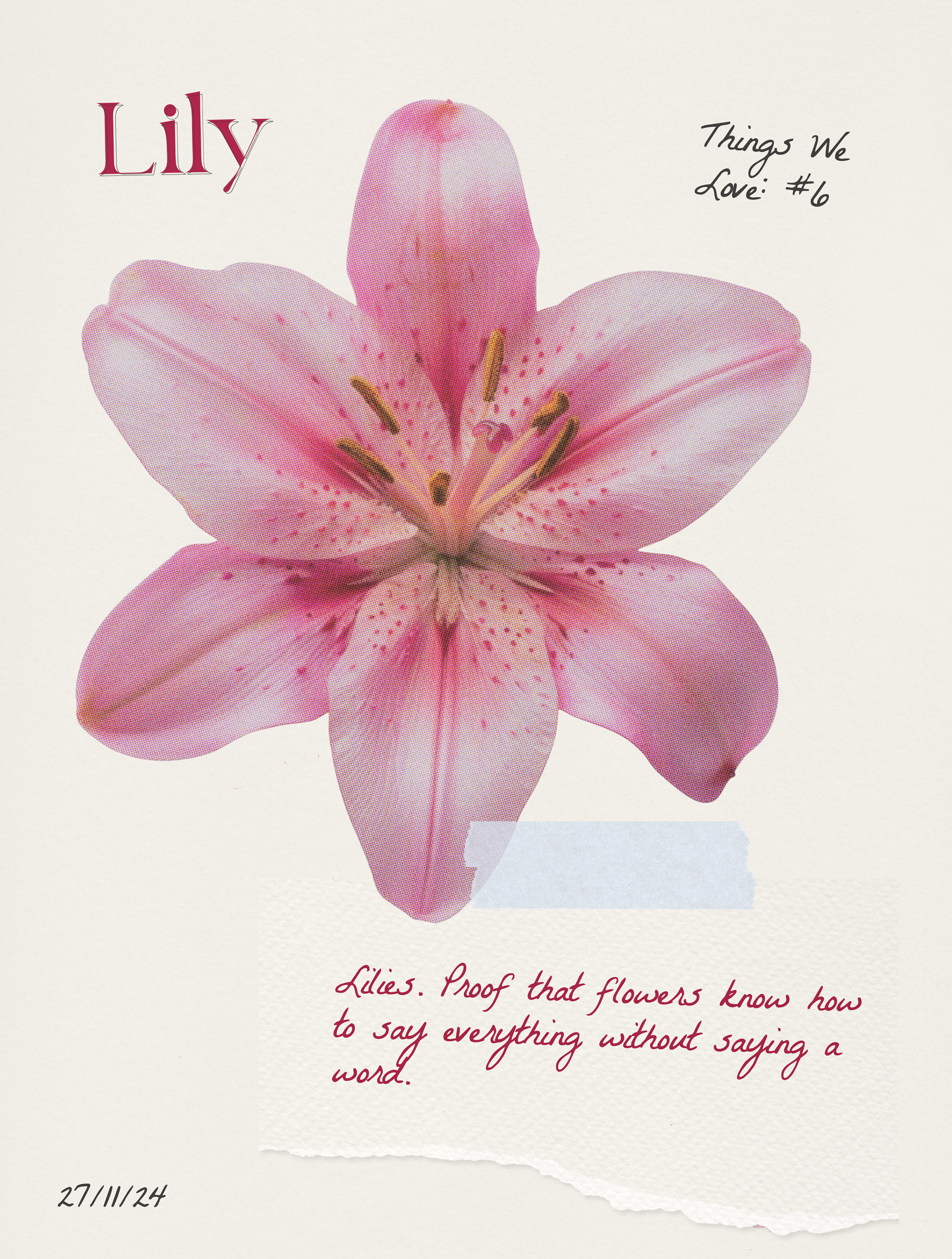 lily baby tee