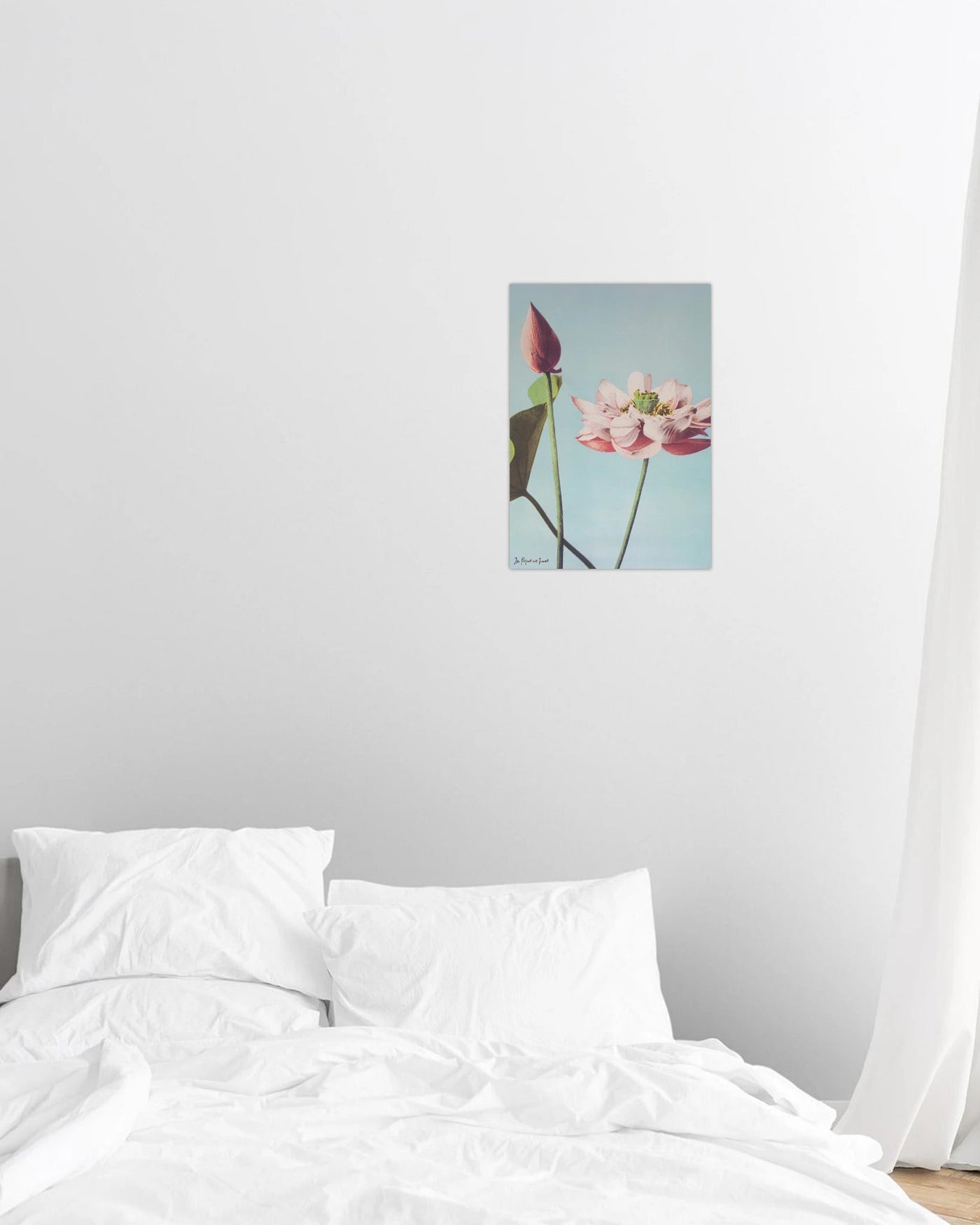 lotus print - In Print We Trust