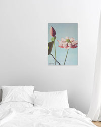 lotus print - In Print We Trust