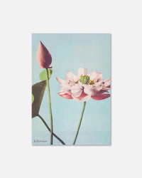lotus print - In Print We Trust