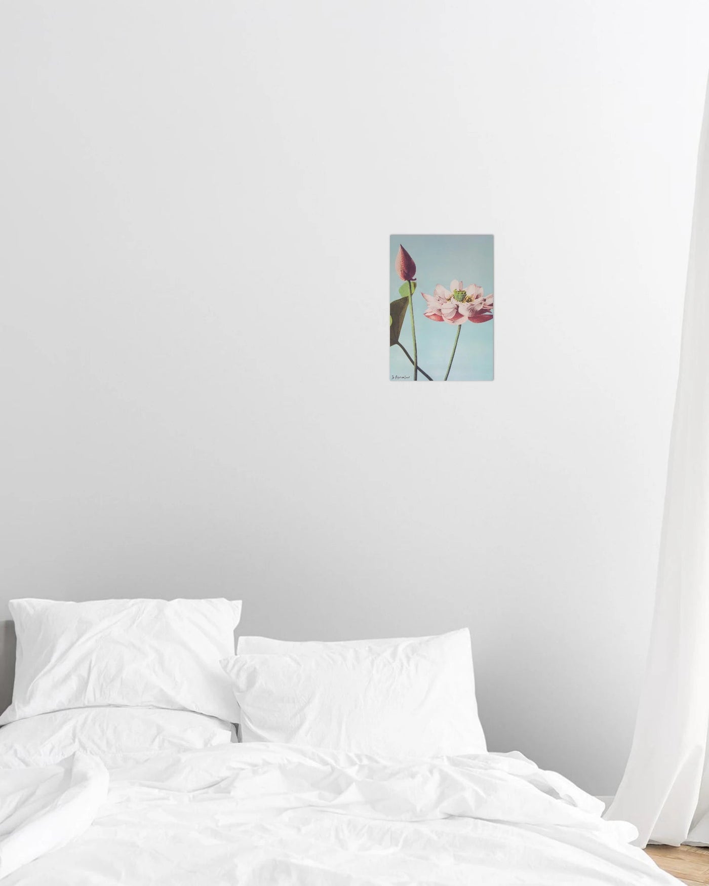 lotus print - In Print We Trust