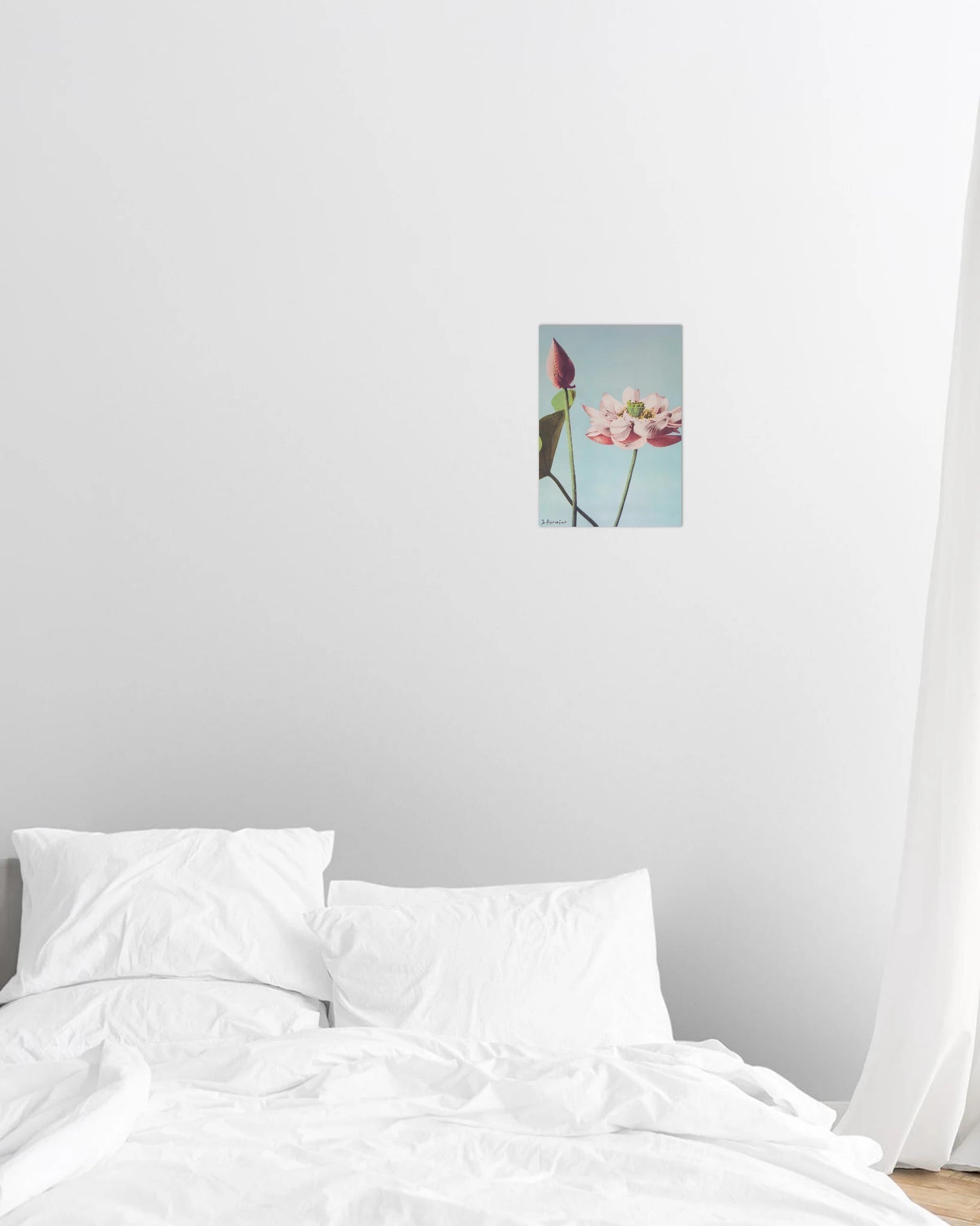 lotus print - In Print We Trust
