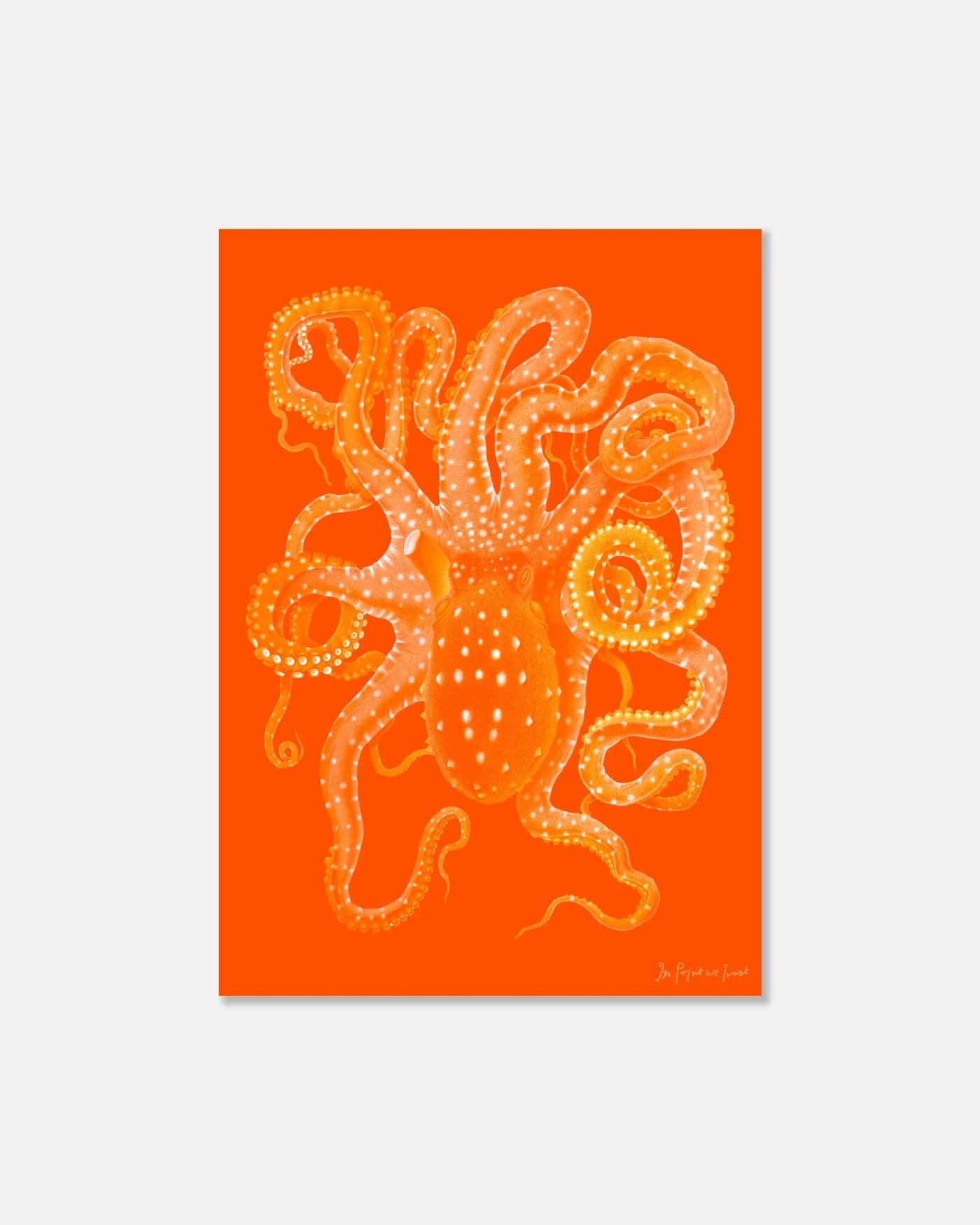 octopus poster print - In Print We Trust