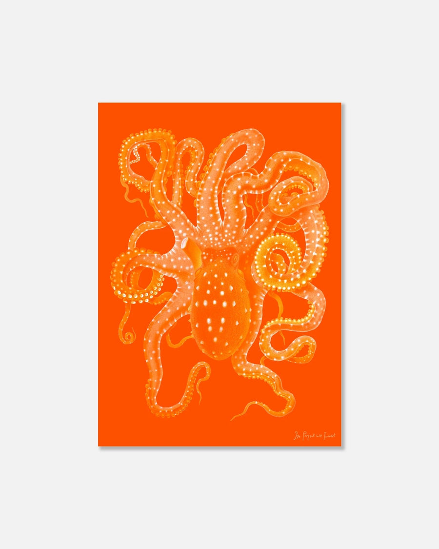 octopus poster print - In Print We Trust