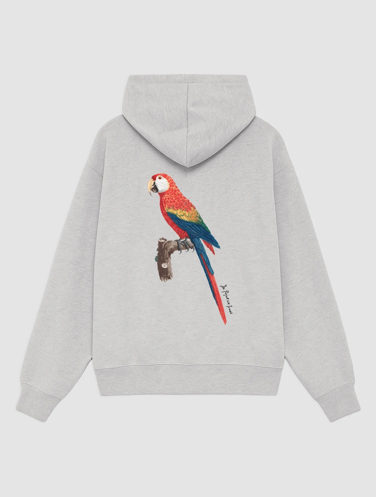parrot grey hoodie - In Print We Trust