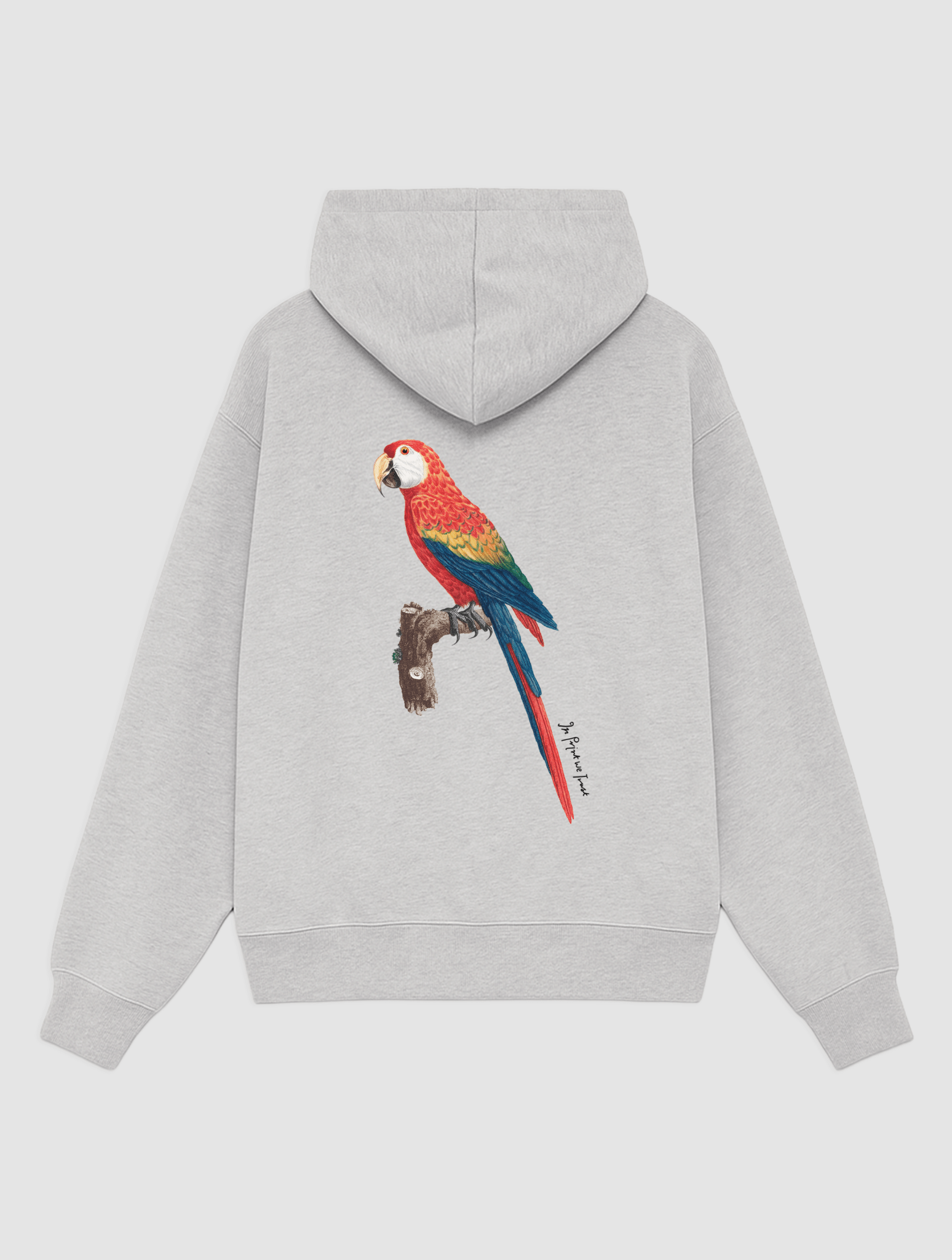 parrot grey hoodie - In Print We Trust