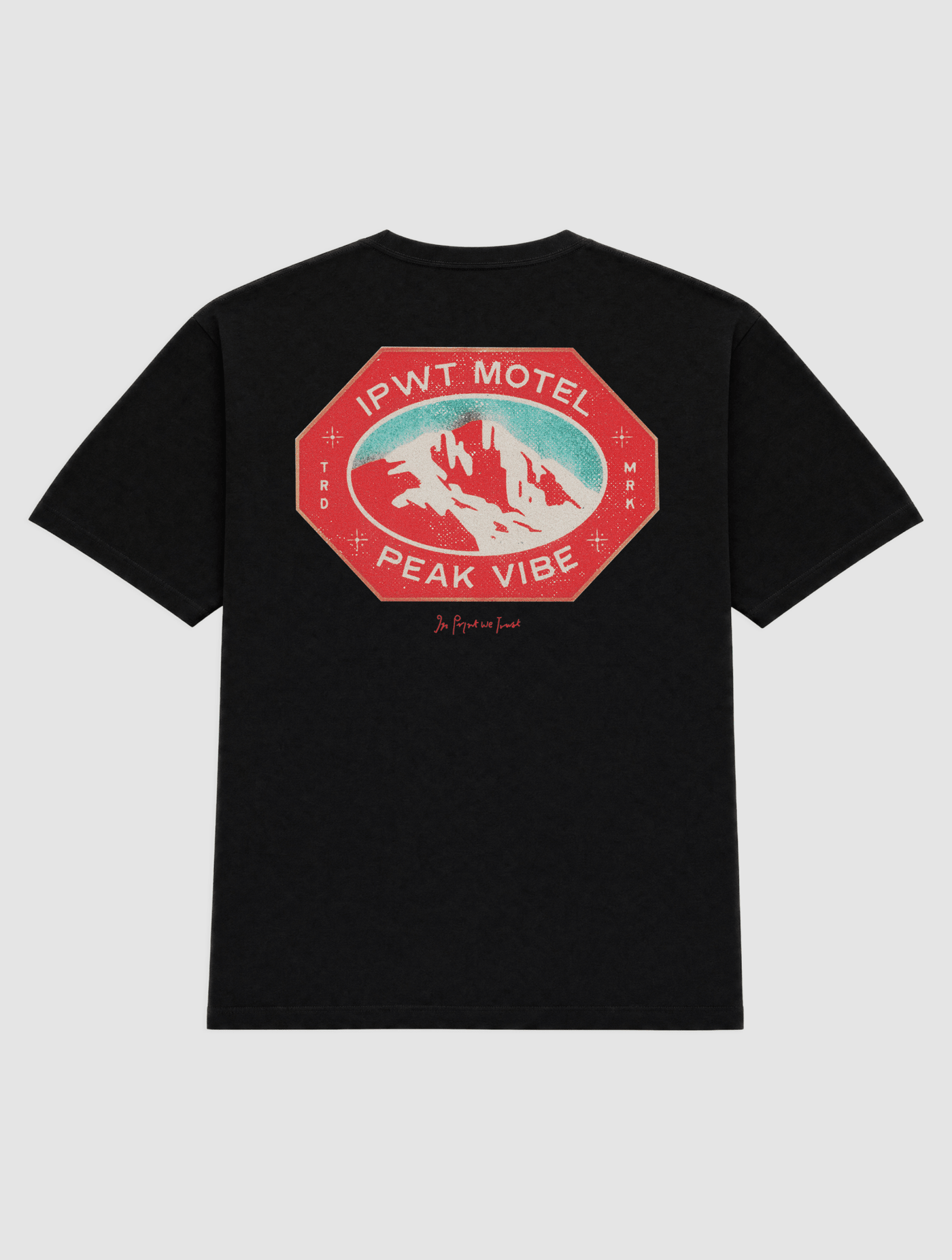 peak vibe heavyweight tee - In Print We Trust