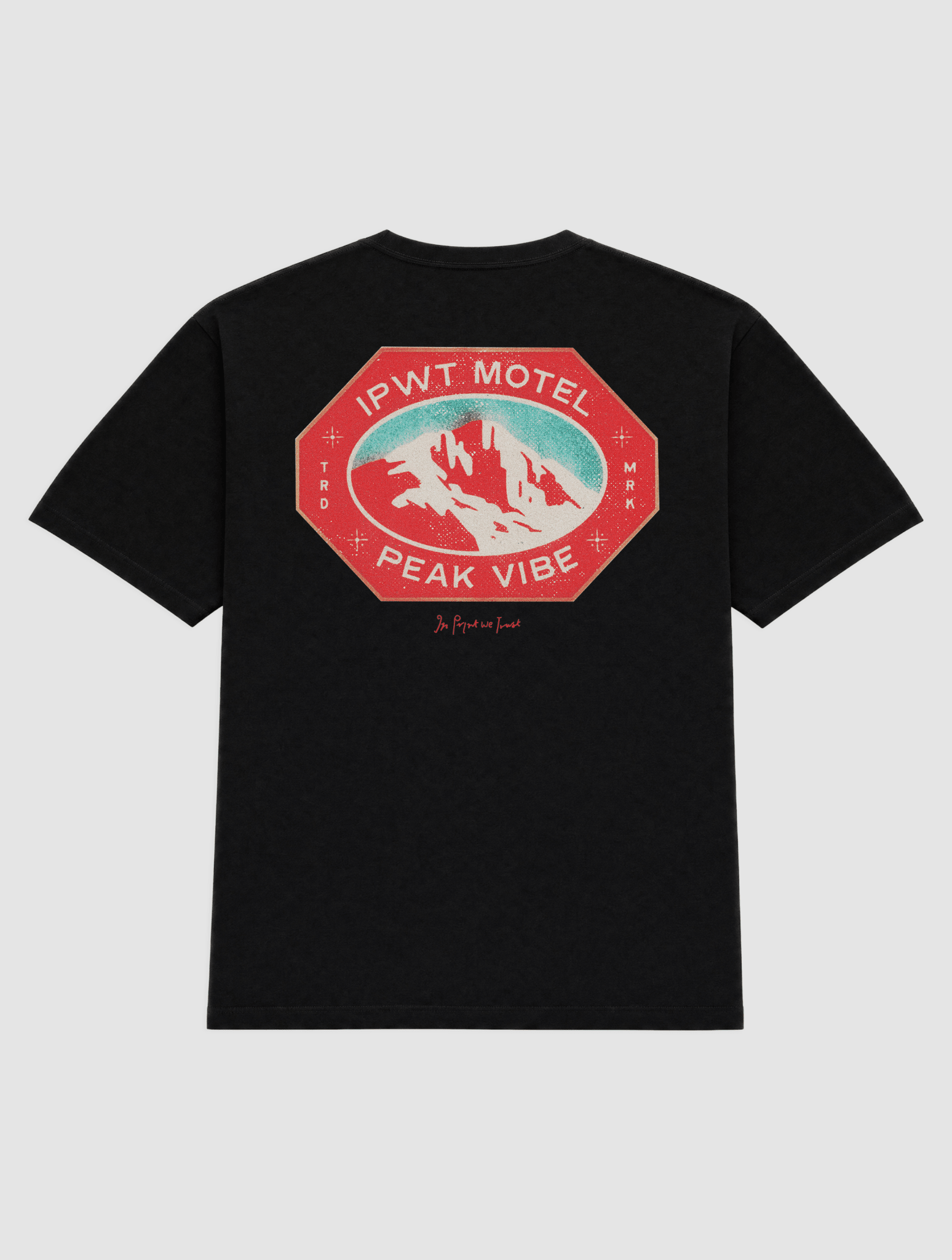 peak vibe heavyweight tee - In Print We Trust
