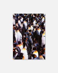 penguins print - In Print We Trust