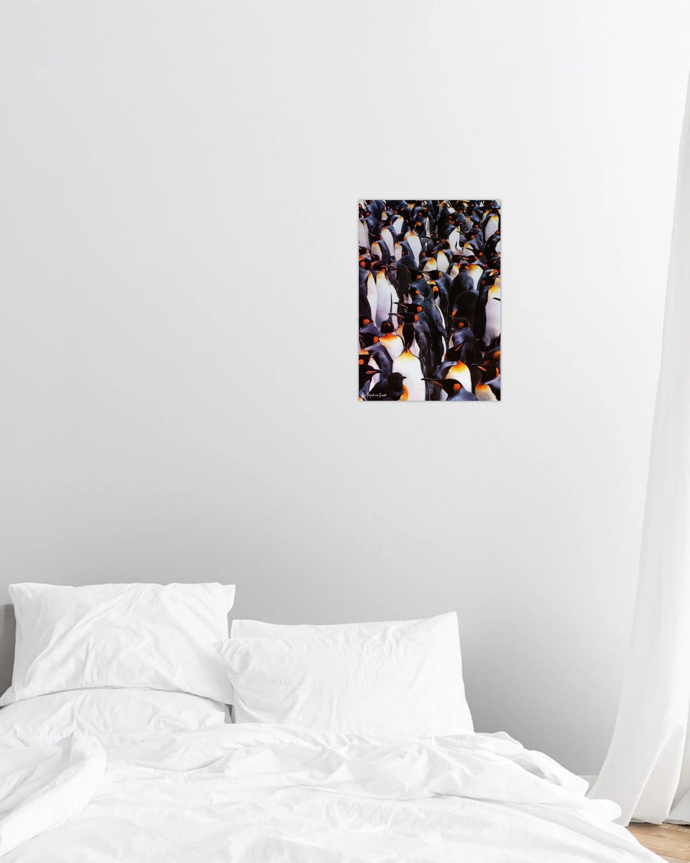 penguins print - In Print We Trust