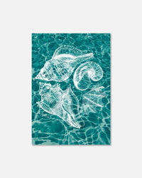 sandy print - In Print We Trust